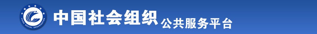 插入少萝动漫网站全国社会组织信息查询